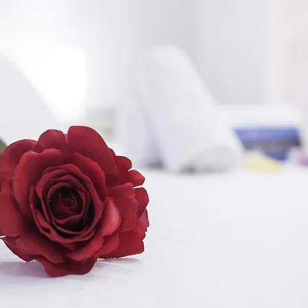 Concha Beach Boutiques - Sshousing Apartamento